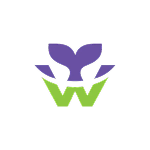 WallMarket